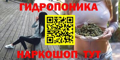 стафф Заводоуковск