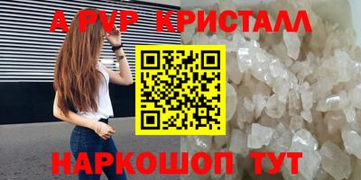 стафф Заводоуковск