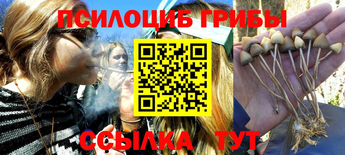 Галлюциногенные грибы мицелий  Вход с VPN  Лесозаводск 