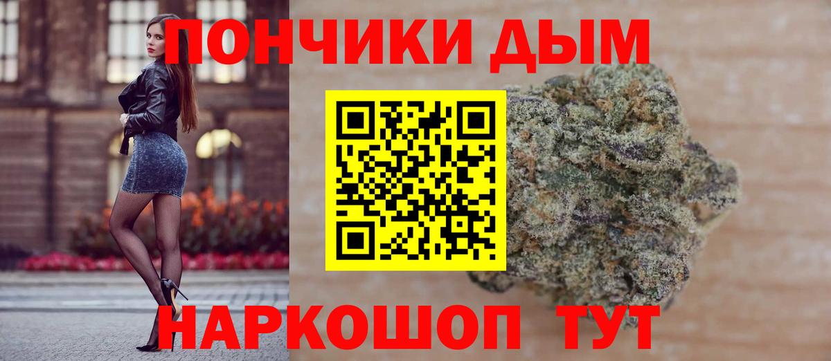 Канабис сатива Лесозаводск